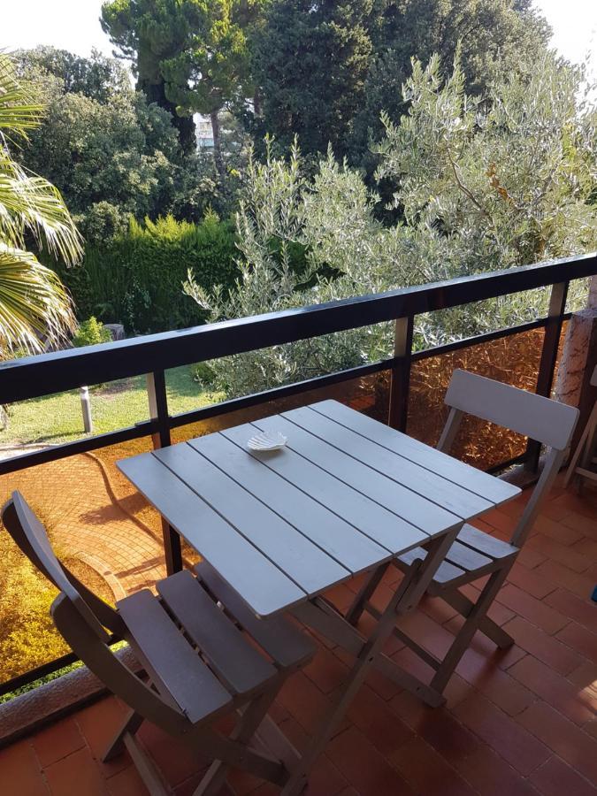 Les Palmiers Appartement *