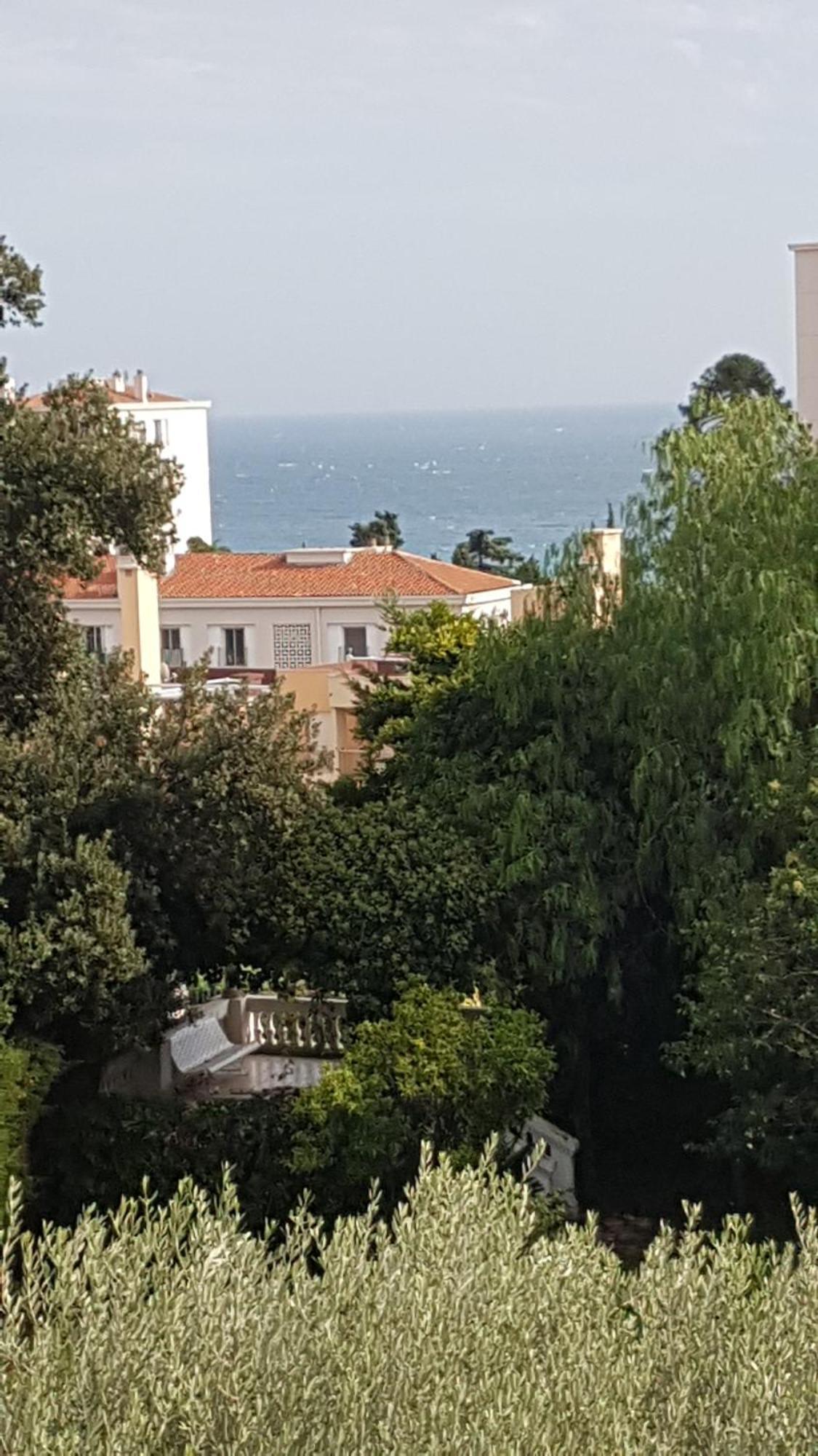 Les Palmiers Appartement *
