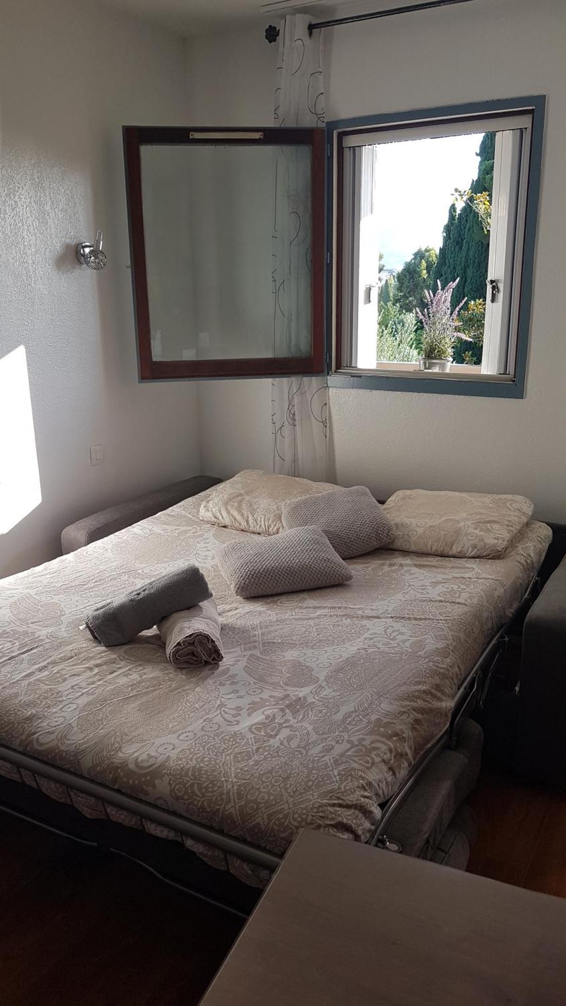 Les Palmiers Appartement
