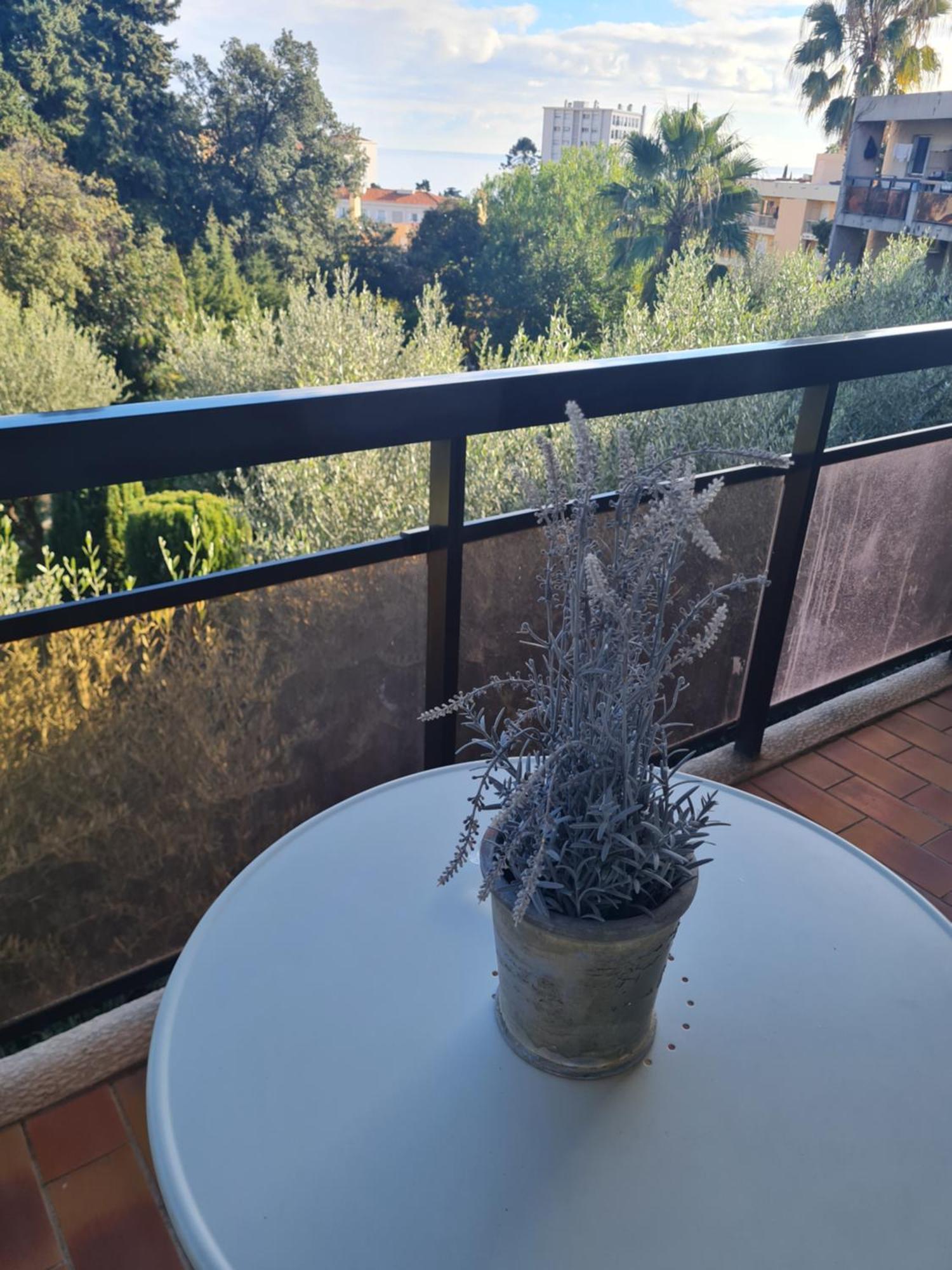 Les Palmiers Appartement Nice