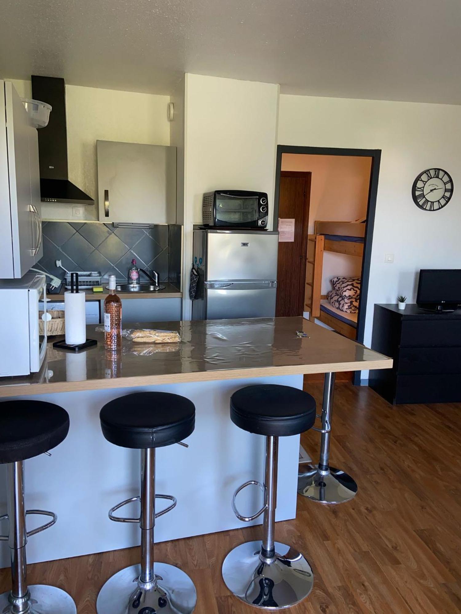 Appartement Les Palmiers Nice