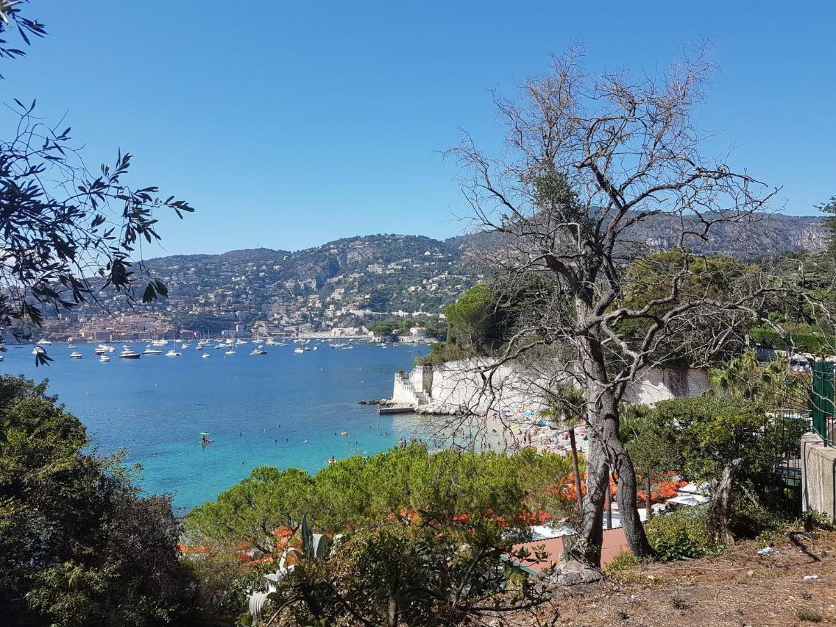 Les Palmiers A 700m De La Apartamento *