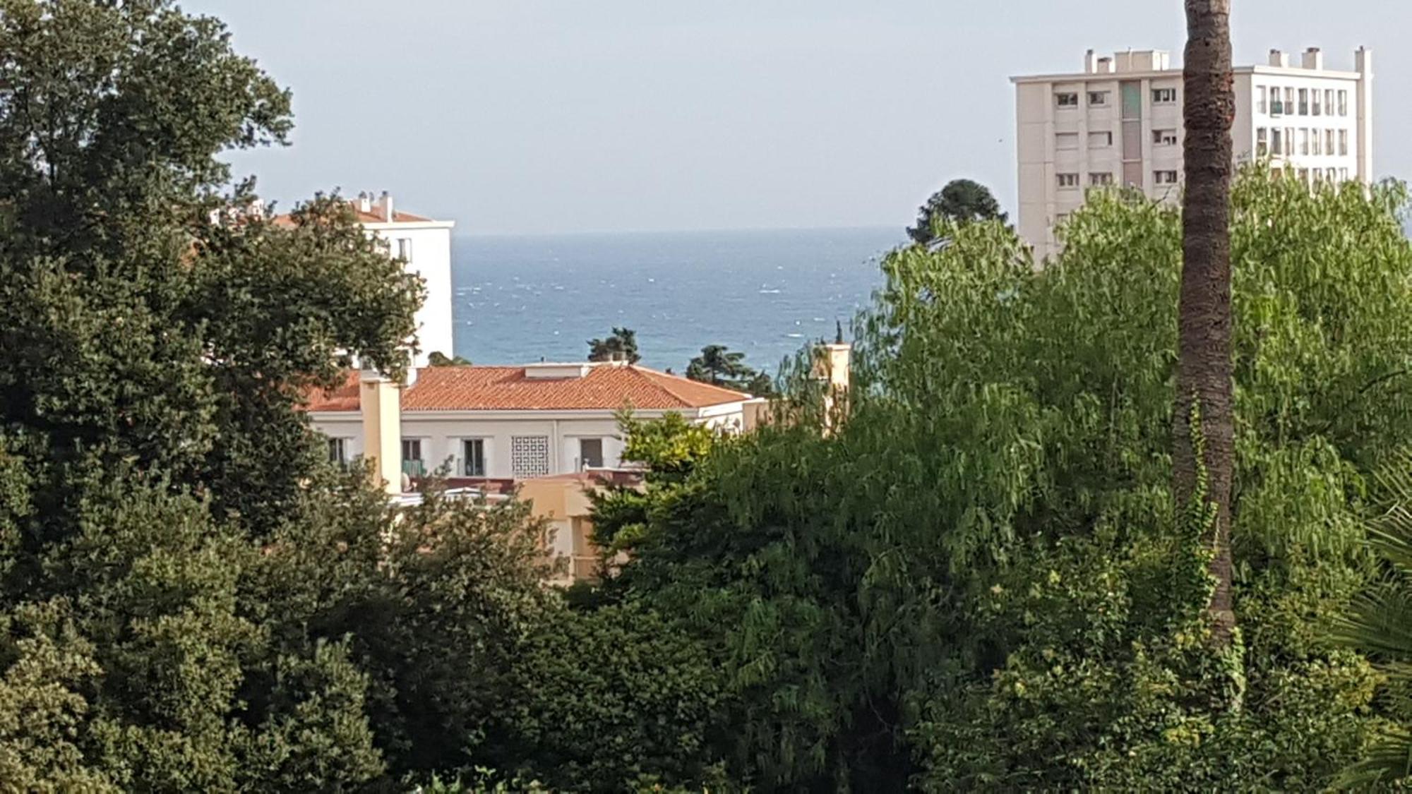 Les Palmiers A 700m De La