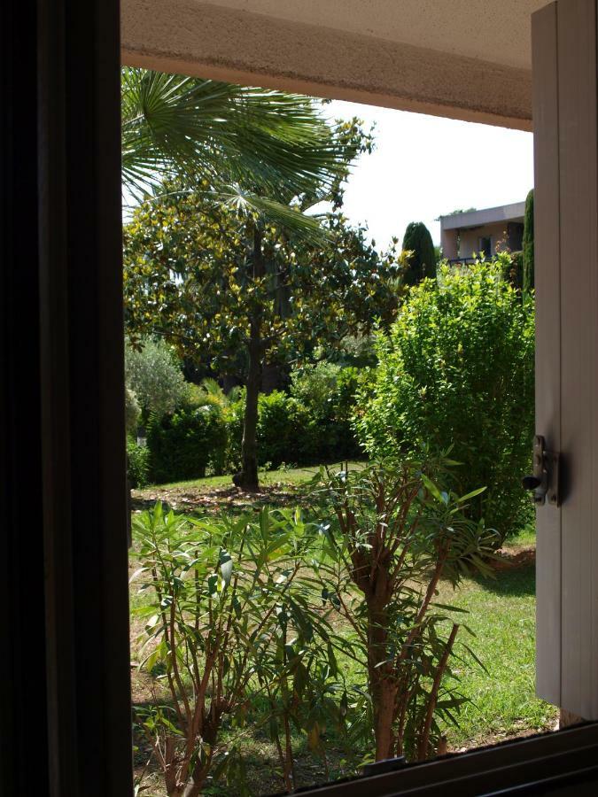 Les Palmiers A 700m De La * Nice