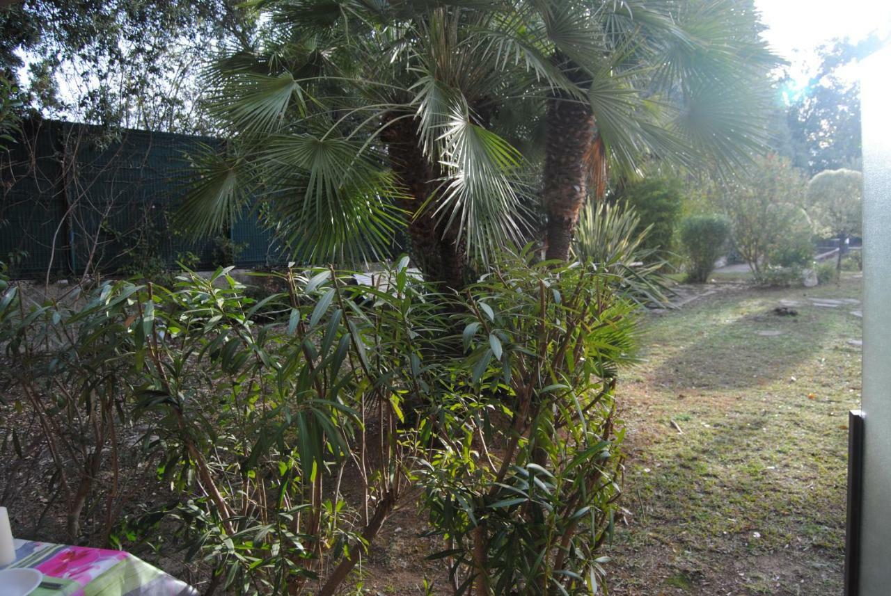 Apartamento Les Palmiers A 700m De La Nice
