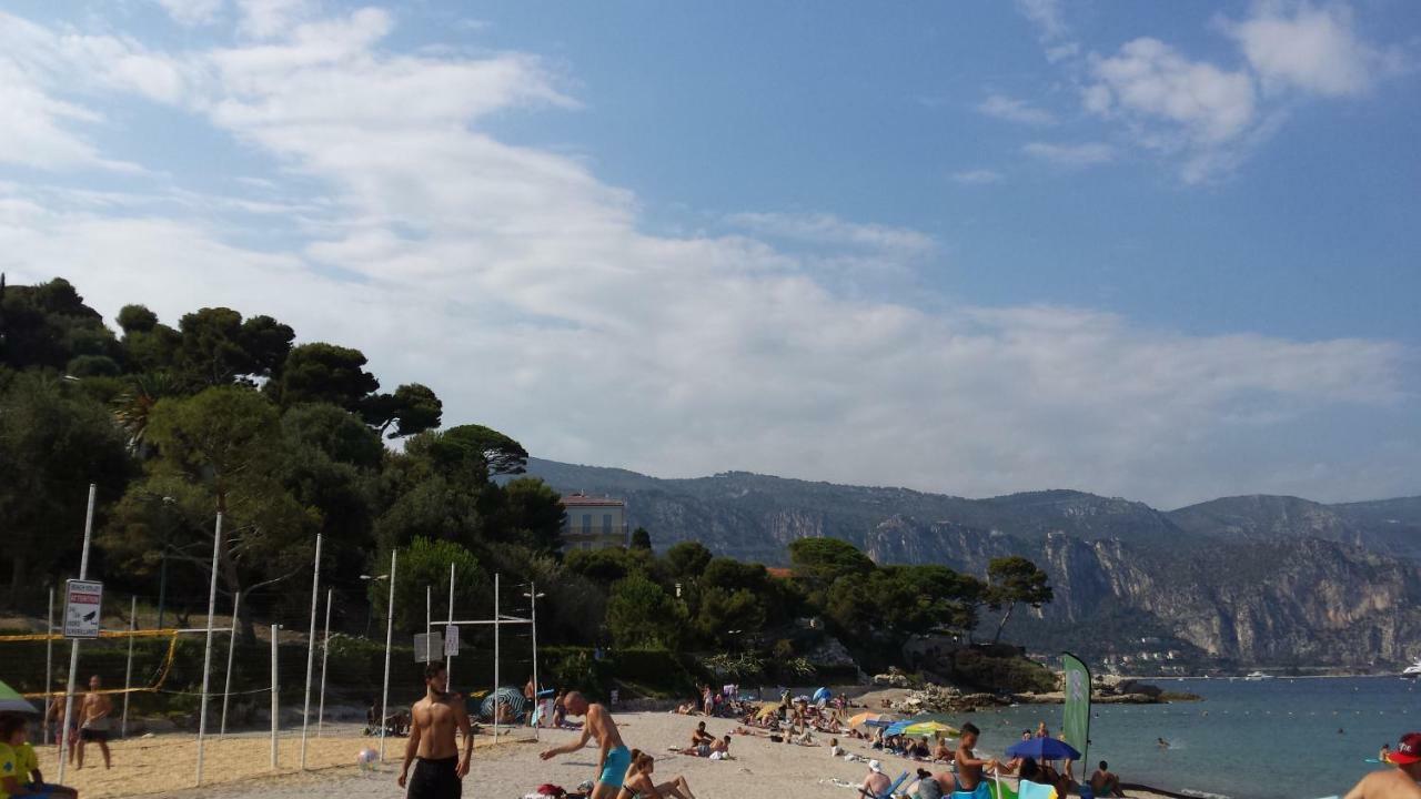 Les Palmiers A 700m De La Nice