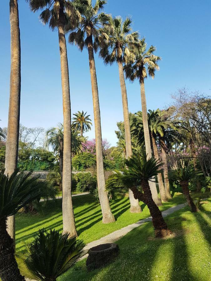 Apartamento Les Palmiers A 700m De La