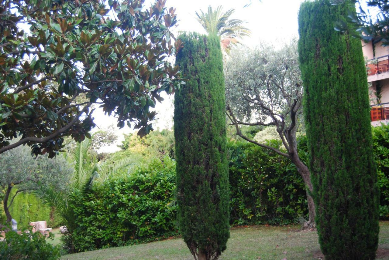 Les Palmiers A 700m De La Apartamento